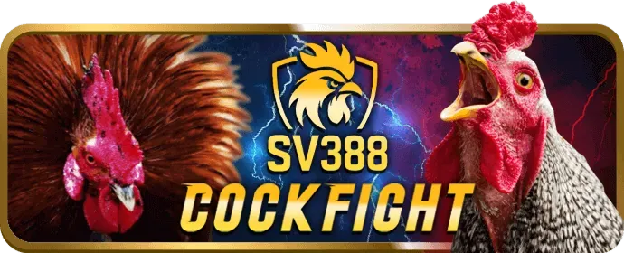 Bước 3: Điền Thông Tin